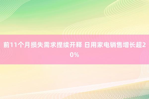 前11个月损失需求捏续开释 日用家电销售增长超20%